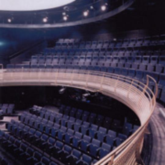 Chequer Mead auditorium seating